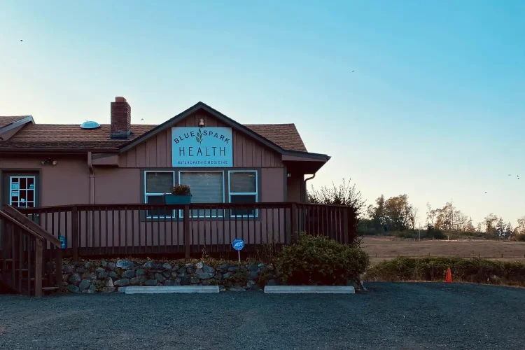 BlueSparkHealth-Lakebay